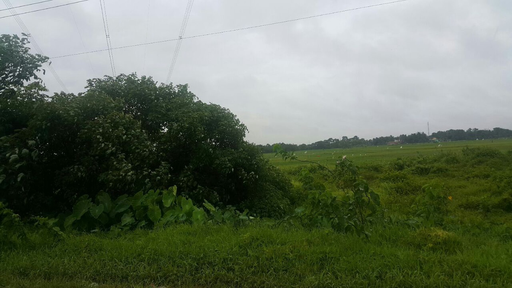 Dijual Tanah di Jl. Cijeruk - Ciujung, Serang