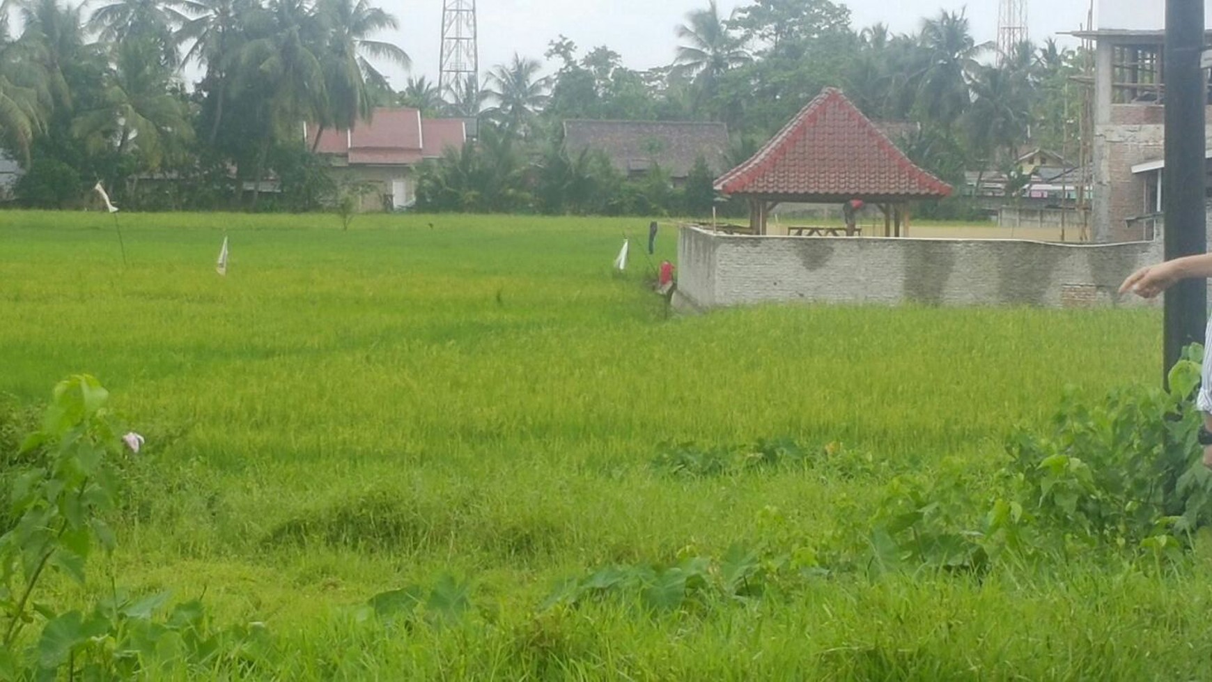Dijual Tanah di Jl. Cijeruk - Ciujung, Serang