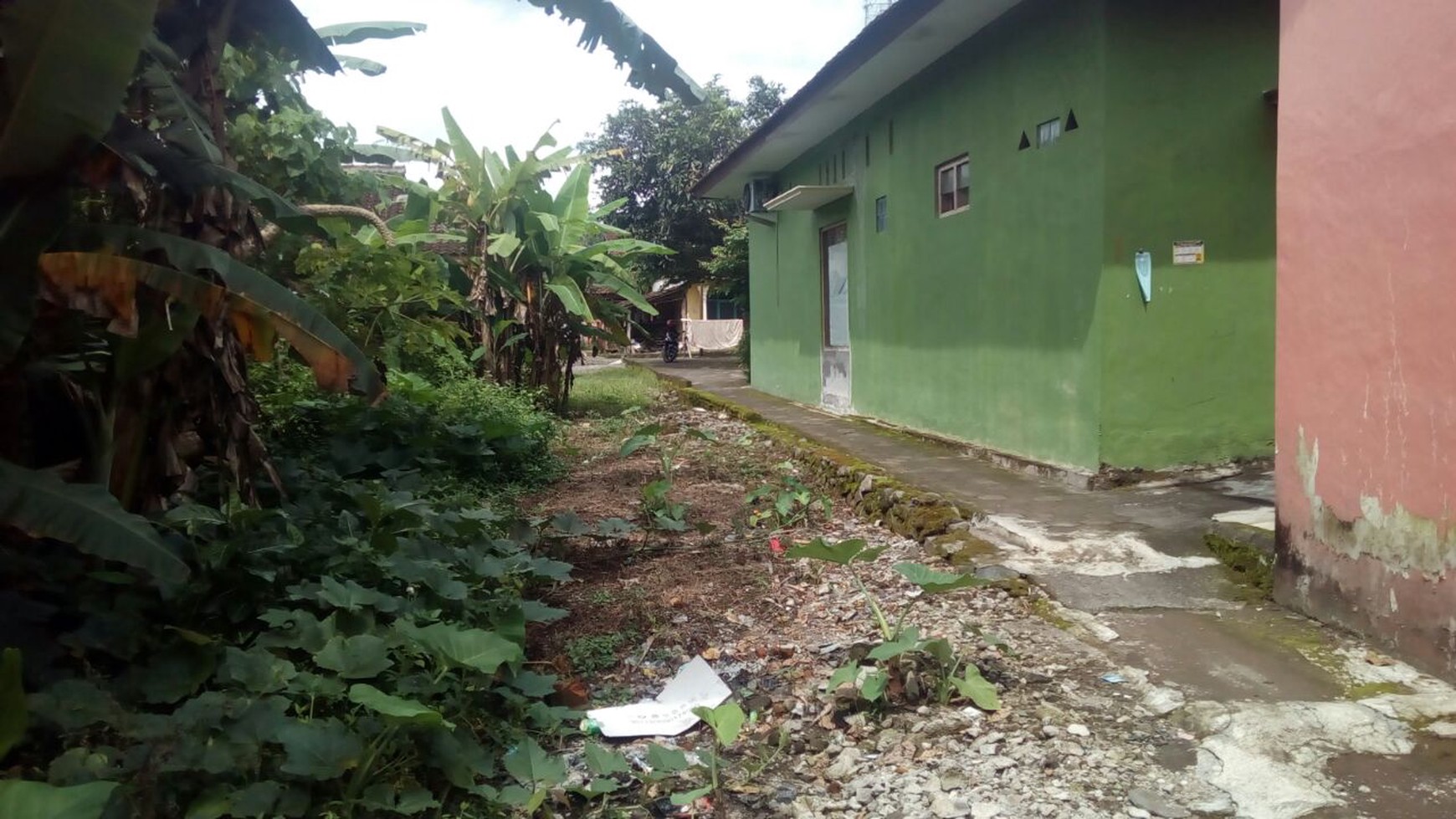 TANAH LUAS DI DEKAT PEMUKIMAN WARGA, JL RAJAWALI, BERANLOR, SLEMAN