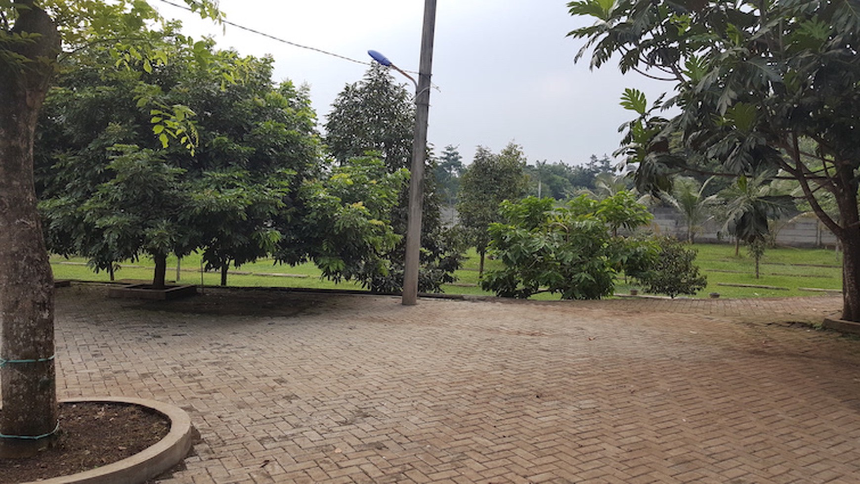 DIJUAL HARGA MURAH, KAVLING KEBUN BUAH DI LEGOK-TANGERANG-BANTENG