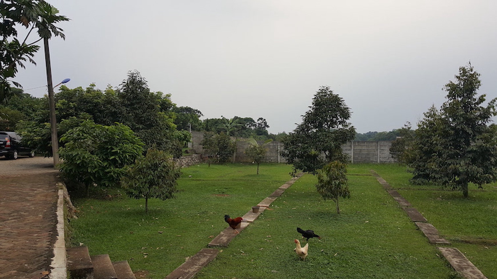 DIJUAL HARGA MURAH, KAVLING KEBUN BUAH DI LEGOK-TANGERANG-BANTENG