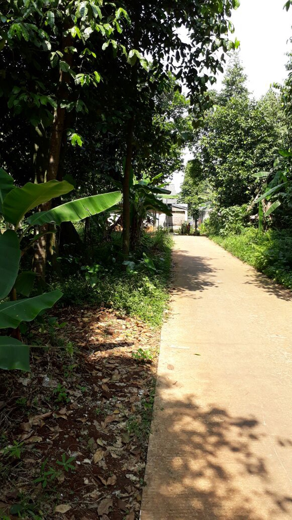 Dijual Kavling di Pamagarsari - Parung, Bogor