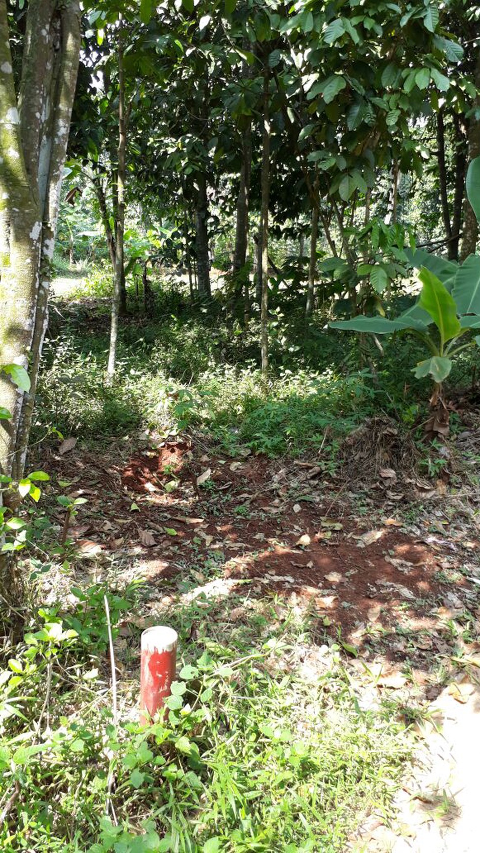 Dijual Kavling di Pamagarsari - Parung, Bogor
