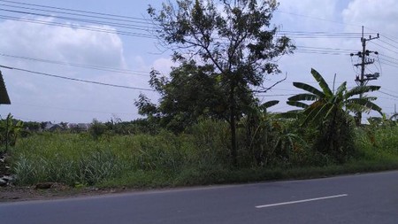Sewa Tanah Sawah Raya Gantang Boboh, Menganti