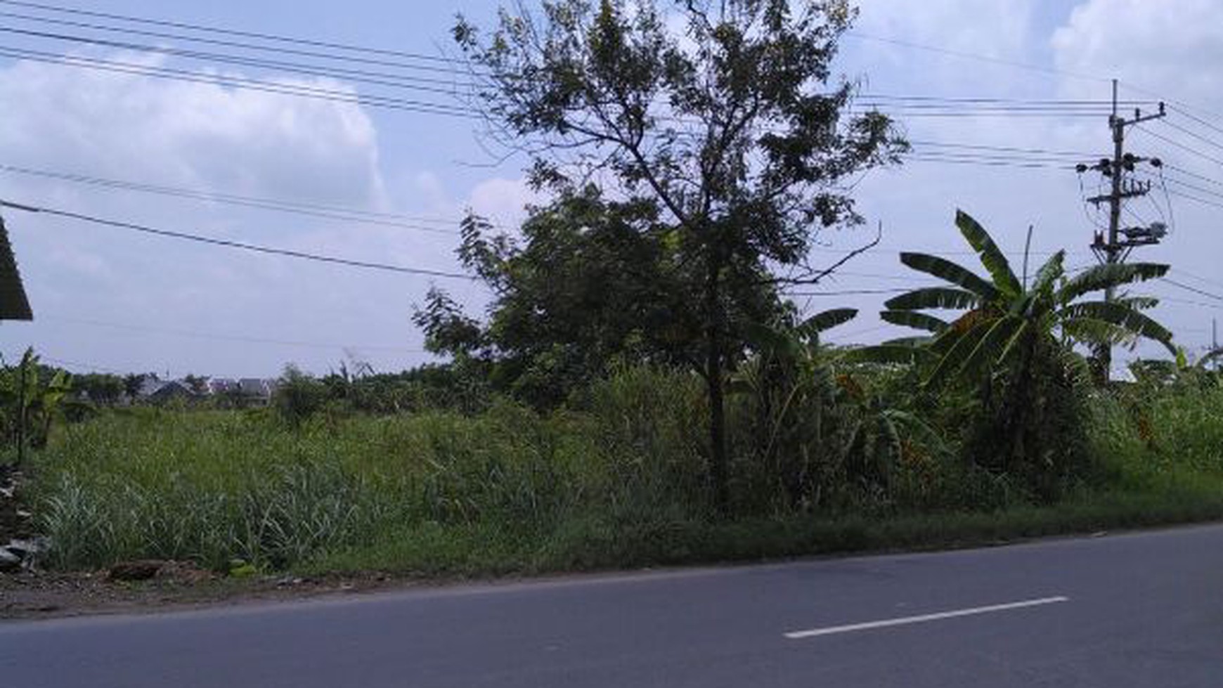 Sewa Tanah Sawah Raya Gantang Boboh, Menganti