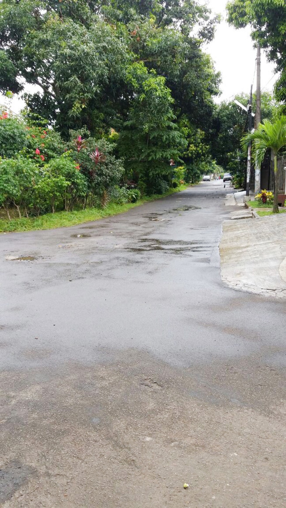 Dijual Rumah asri nyaman, aman, siap huni Di @Villa Bintaro Indah