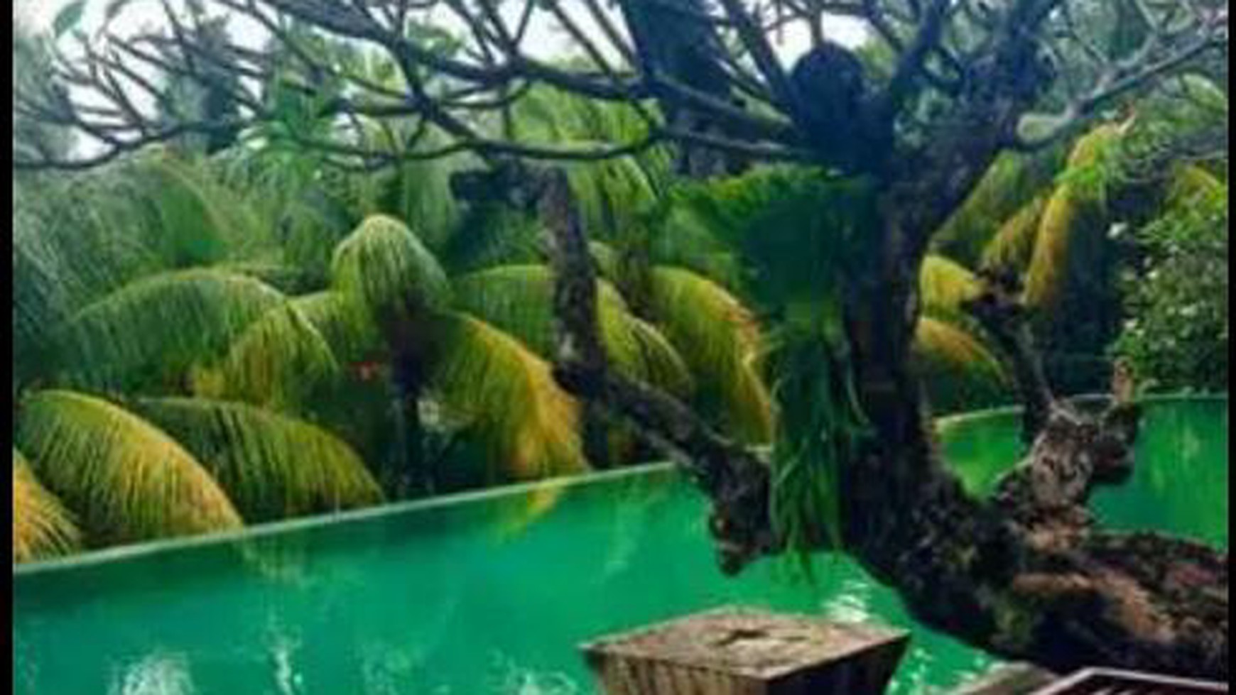 Rumah nuansa bali tropical dalam townhouse diantasari