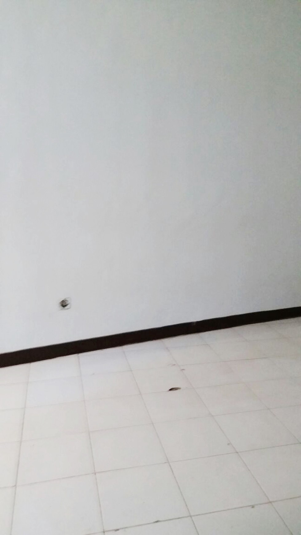 Rumah Bagus DI Jl Mandar, Bintaro Jaya