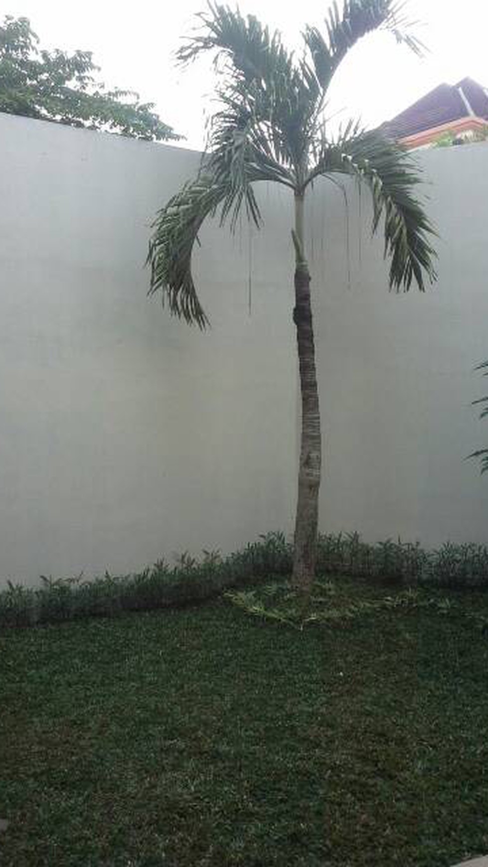 RUMAH BARU SIAP HUNI DI MEGAPOLITAN CINERE