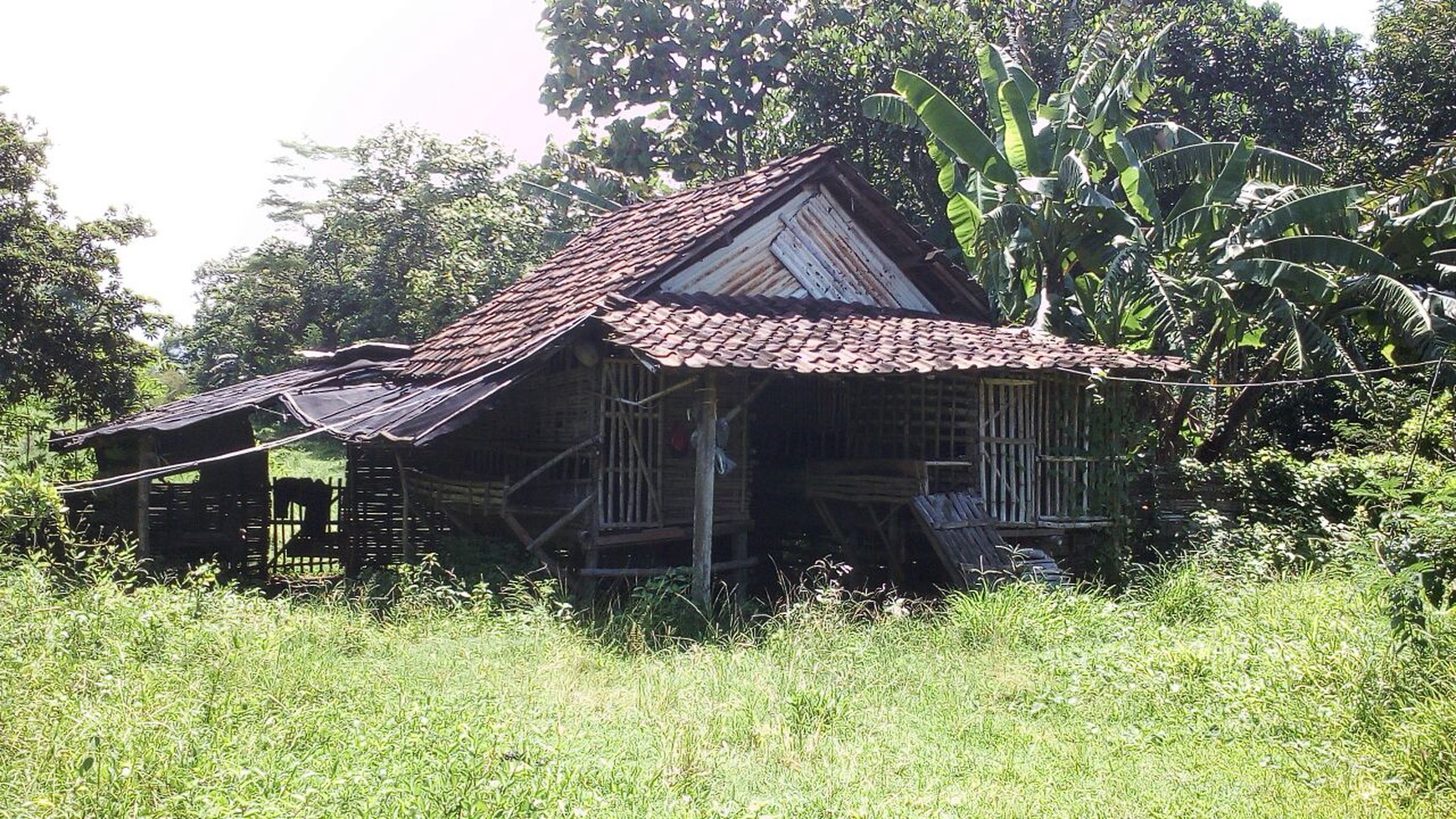 Tanah di Trowulan Mojokerto