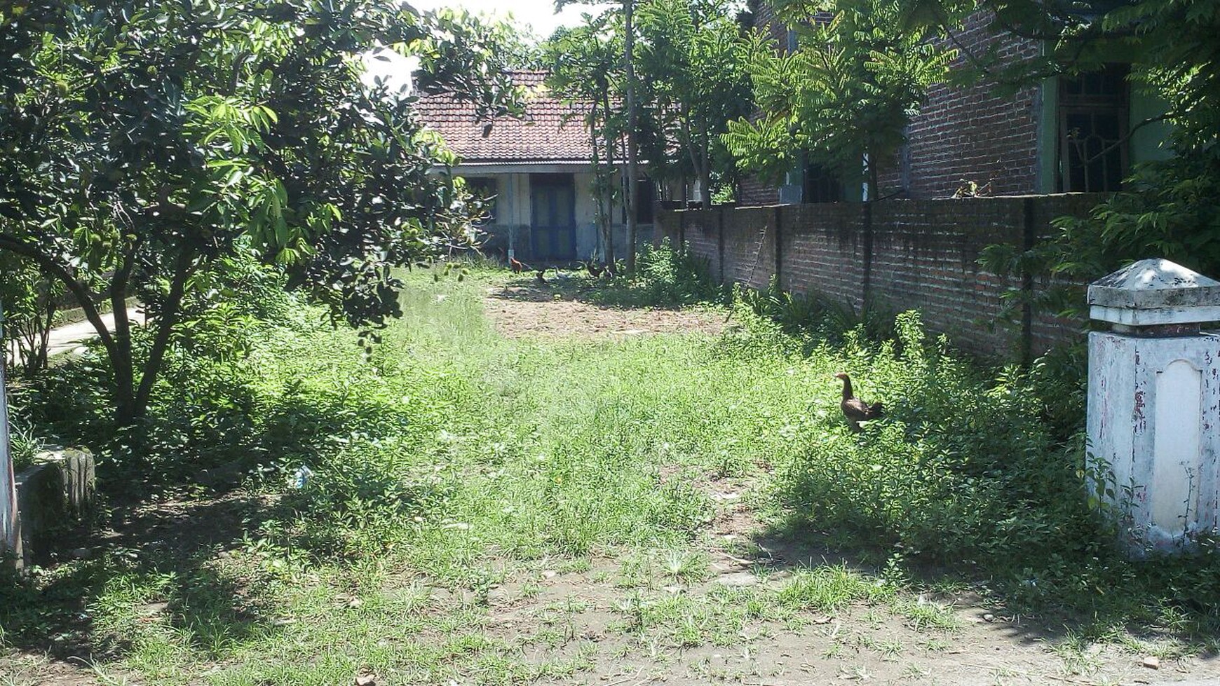 Tanah di Trowulan Mojokerto