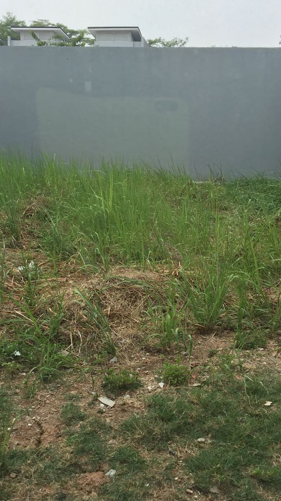 Dijual Rumah di Cluster Neo Pasadena - Modernland, Tangerang