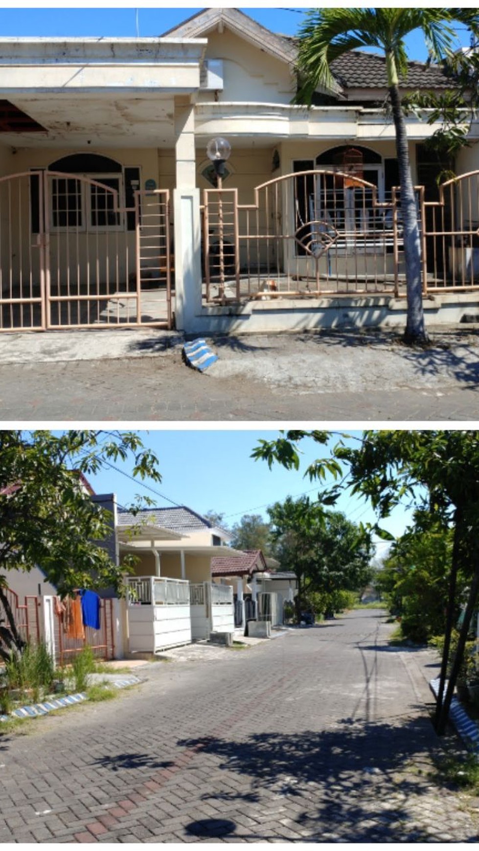 Waru 9x15 hanya 1 M-an