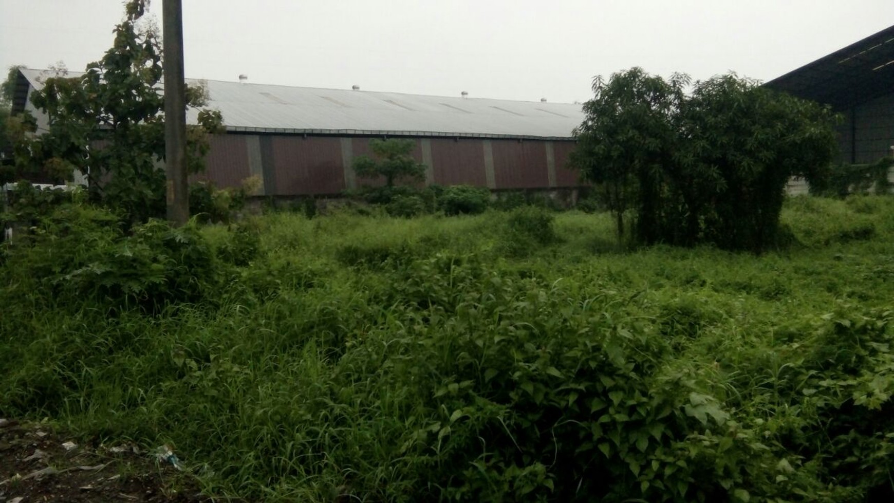 Tanah di Raya Legundi Gresik luas 2000-an