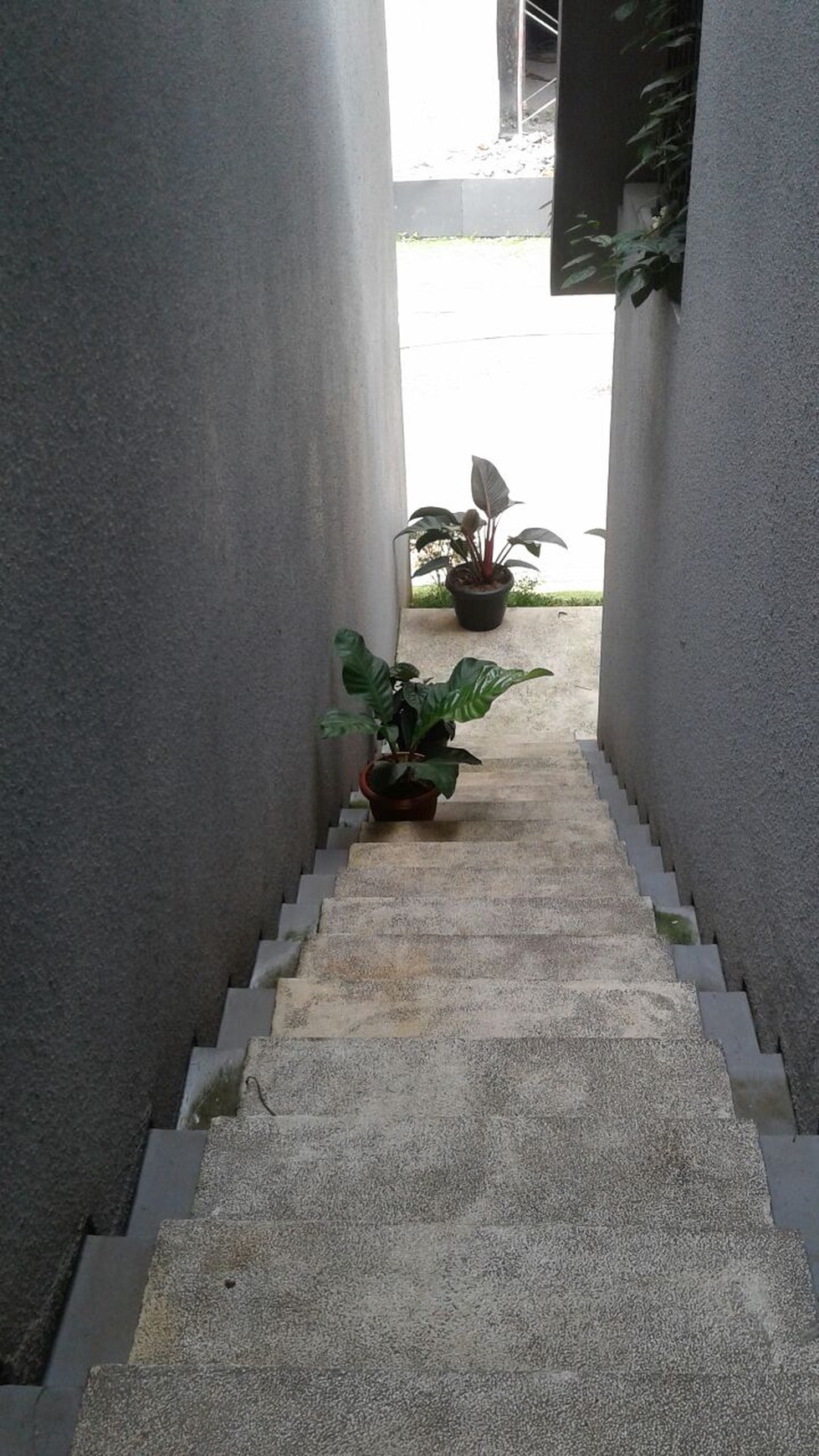 Rumah Murah  Upper House Pondok Cabe Harga Di Bawah Developer