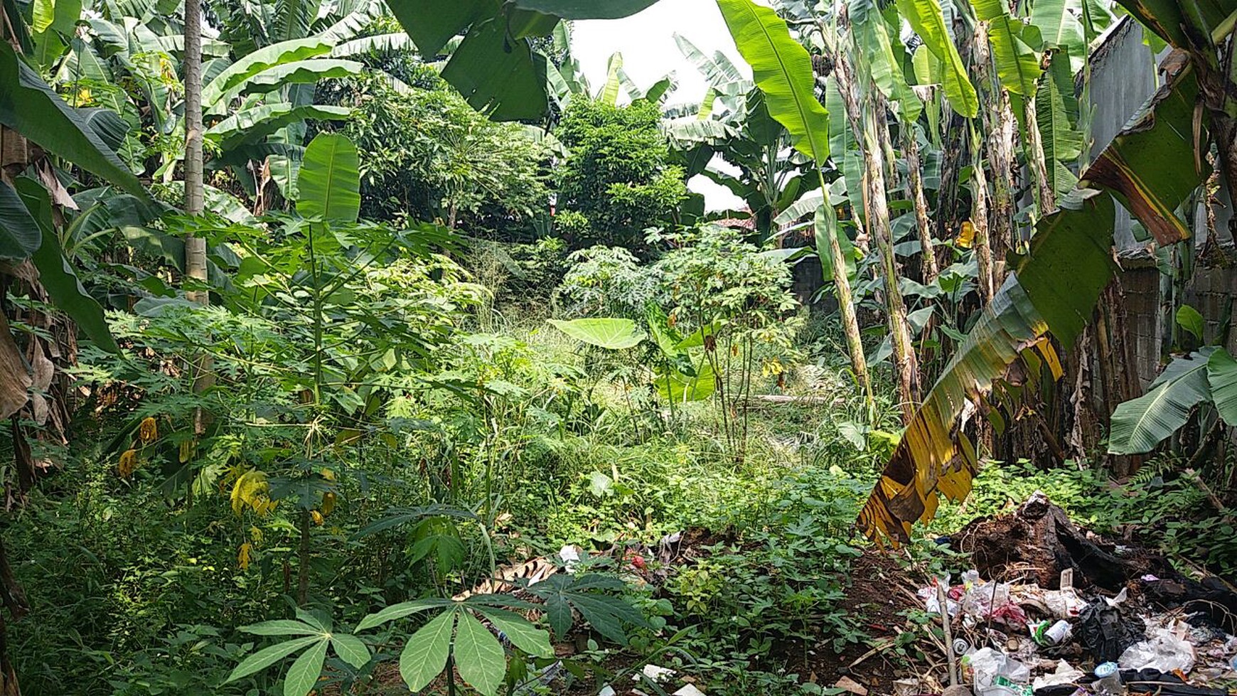 Di Jual Tanah Kavling,Lokasi Strategis, di Tegal Rotan, Bintaro, Tangerang Selatan