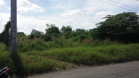 Disewakan Tanah Babat Jerawat, Pakal