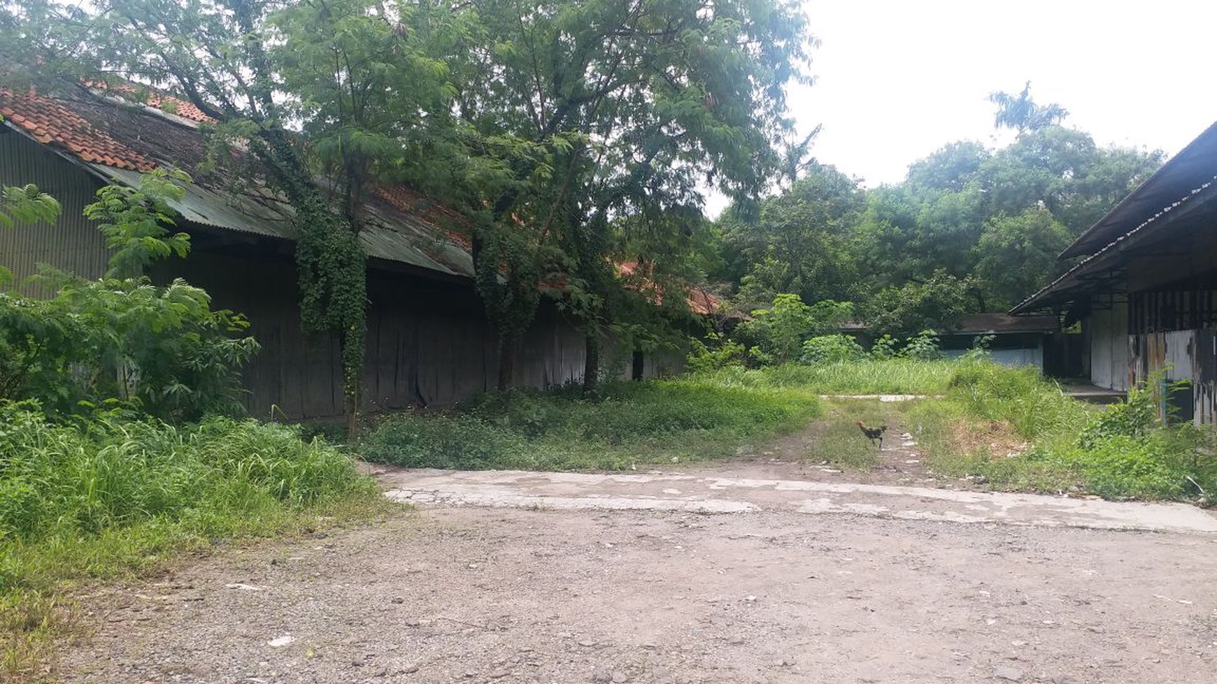 Dijual Pabrik di Industri Manis - Bitung, Tangerang