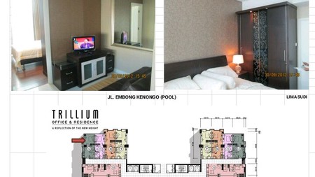 Sewa Apartement Trillium pusat kota 1BR