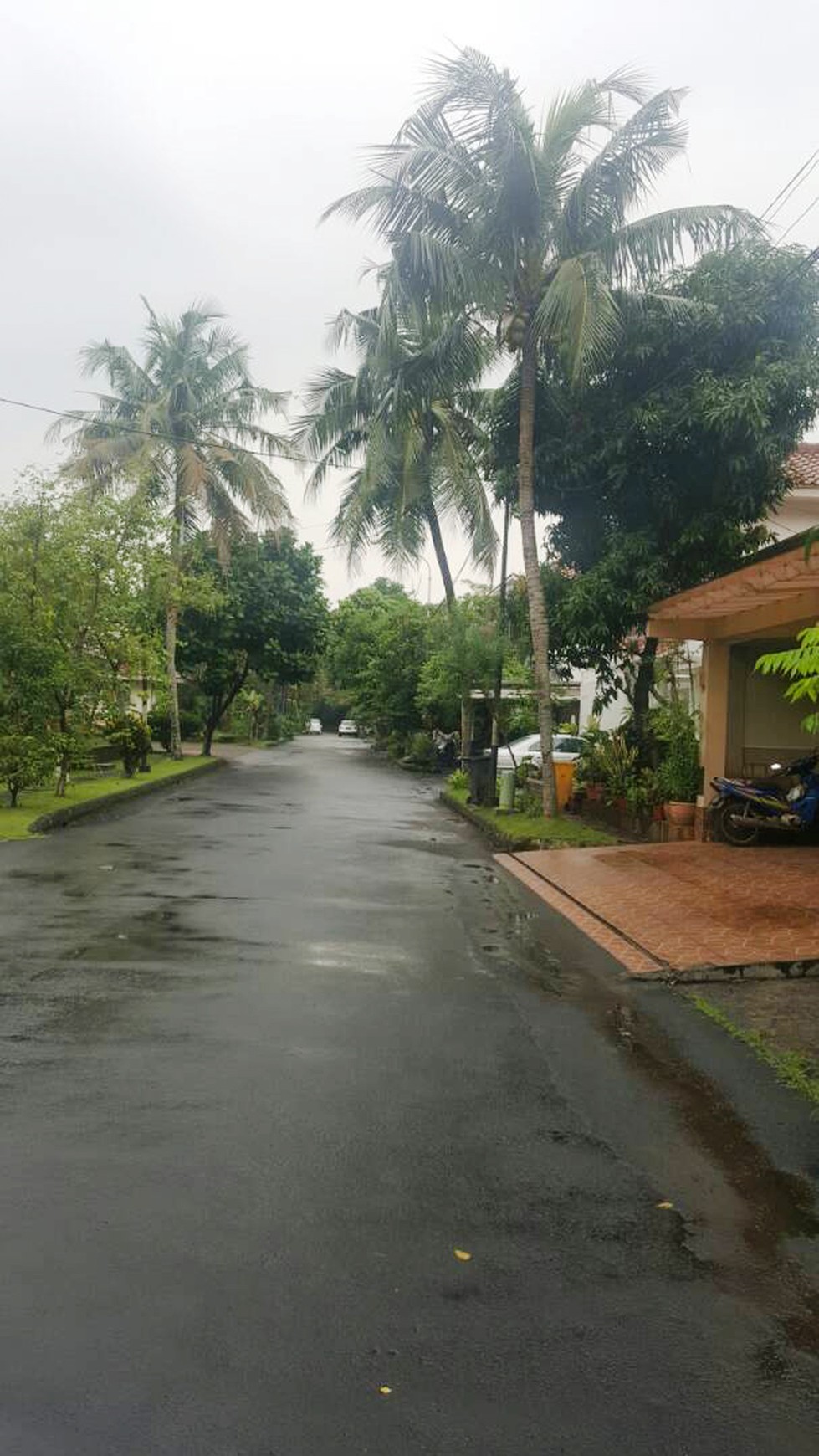 Rumah Dijual, Nyaman, aman, Asri, Akses Lokasi Mudah, Dan siap huni @River Park