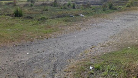 Tanah Krian 2.5 Ha