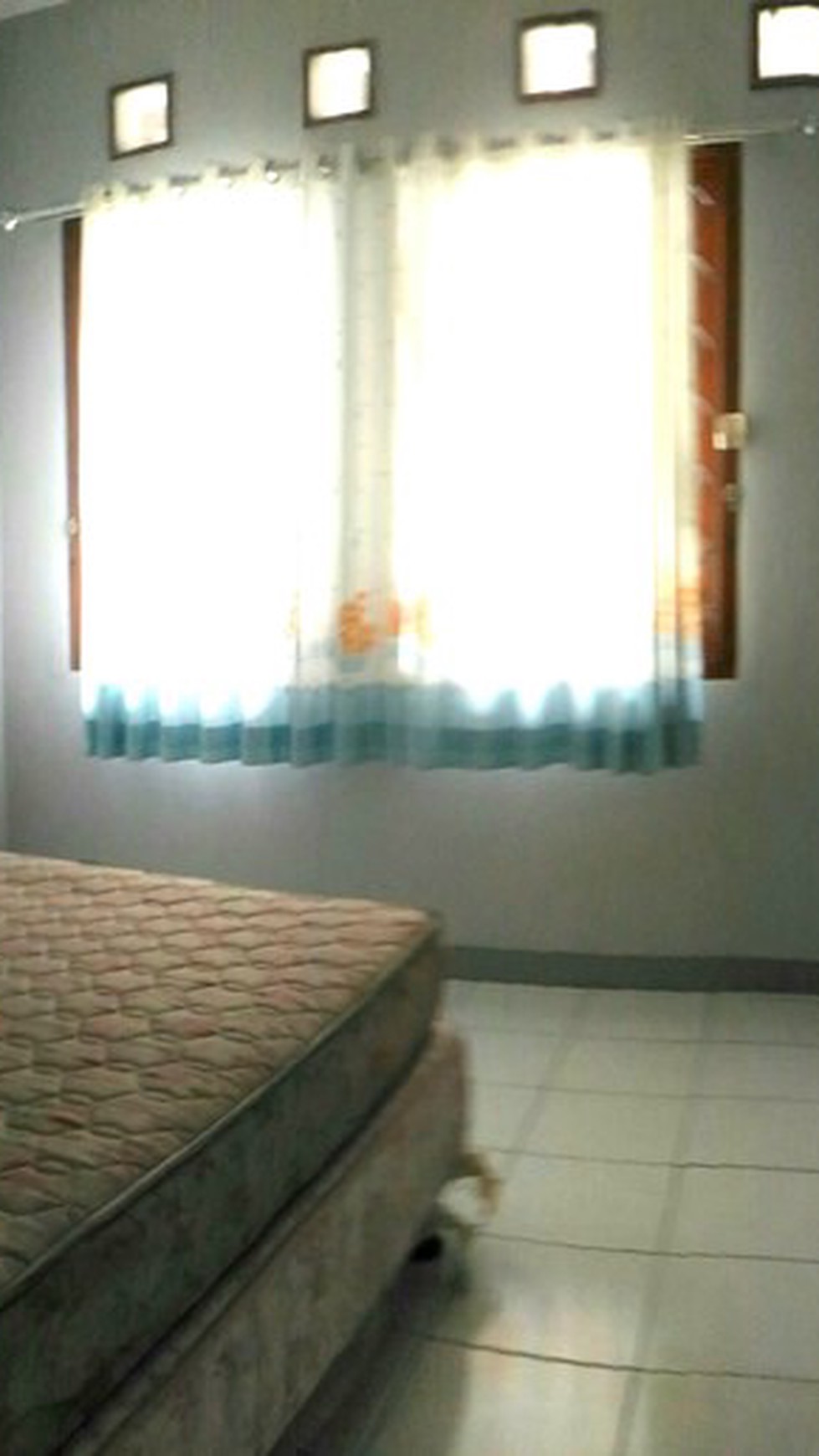 Rumah Cantiq Siap Huni 139m Harga 60Jt/thn, nego