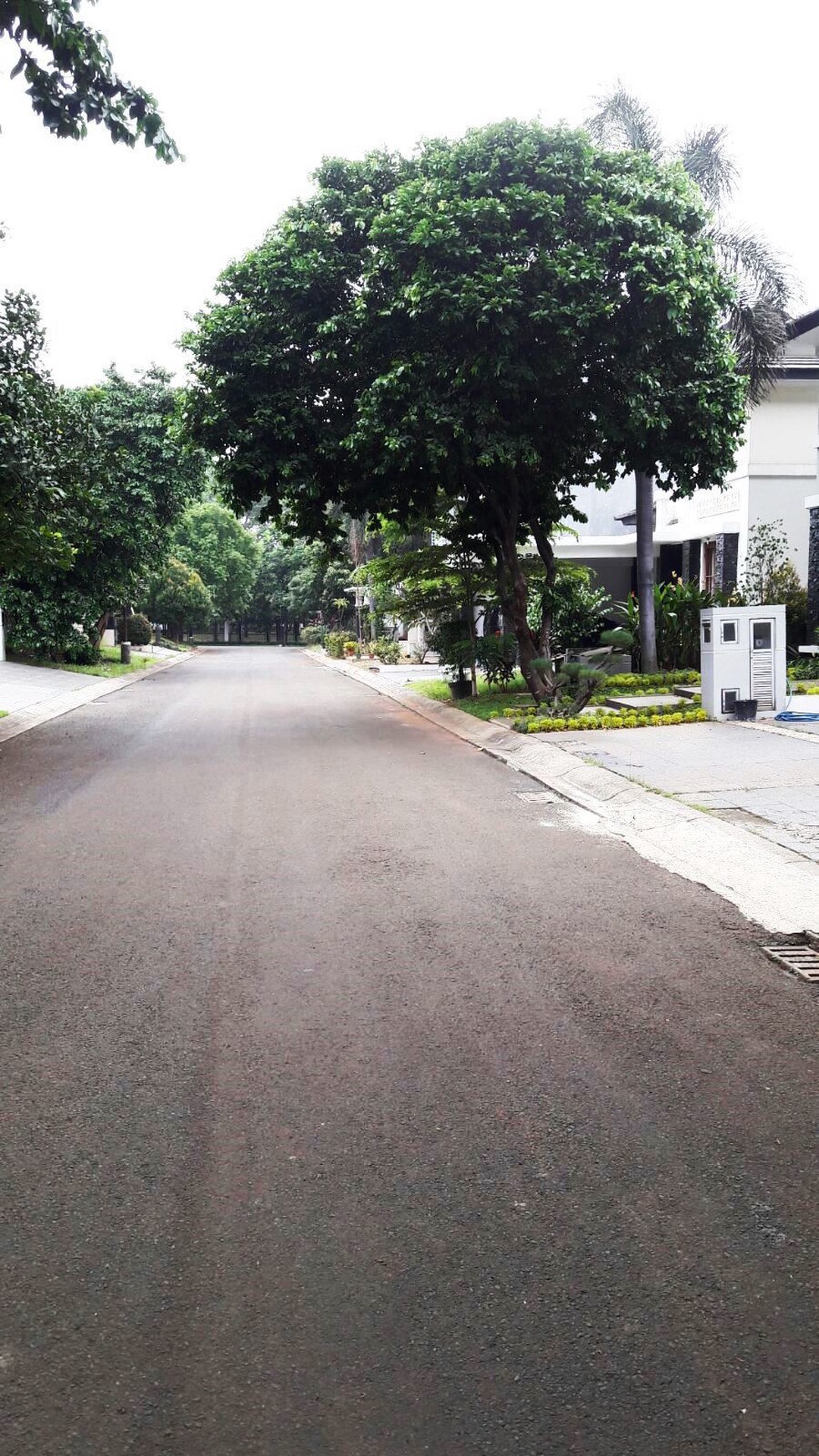 Rumah Nyaman dan Siap Huni di Kawasan Menteng, Bintaro