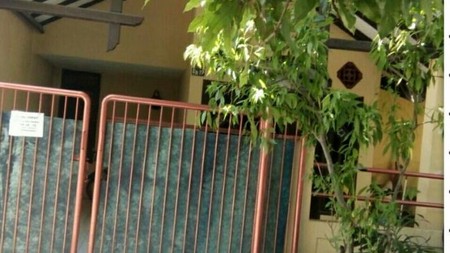 Rumah 1.5 Lt Bluru Permai Sidoarjo
