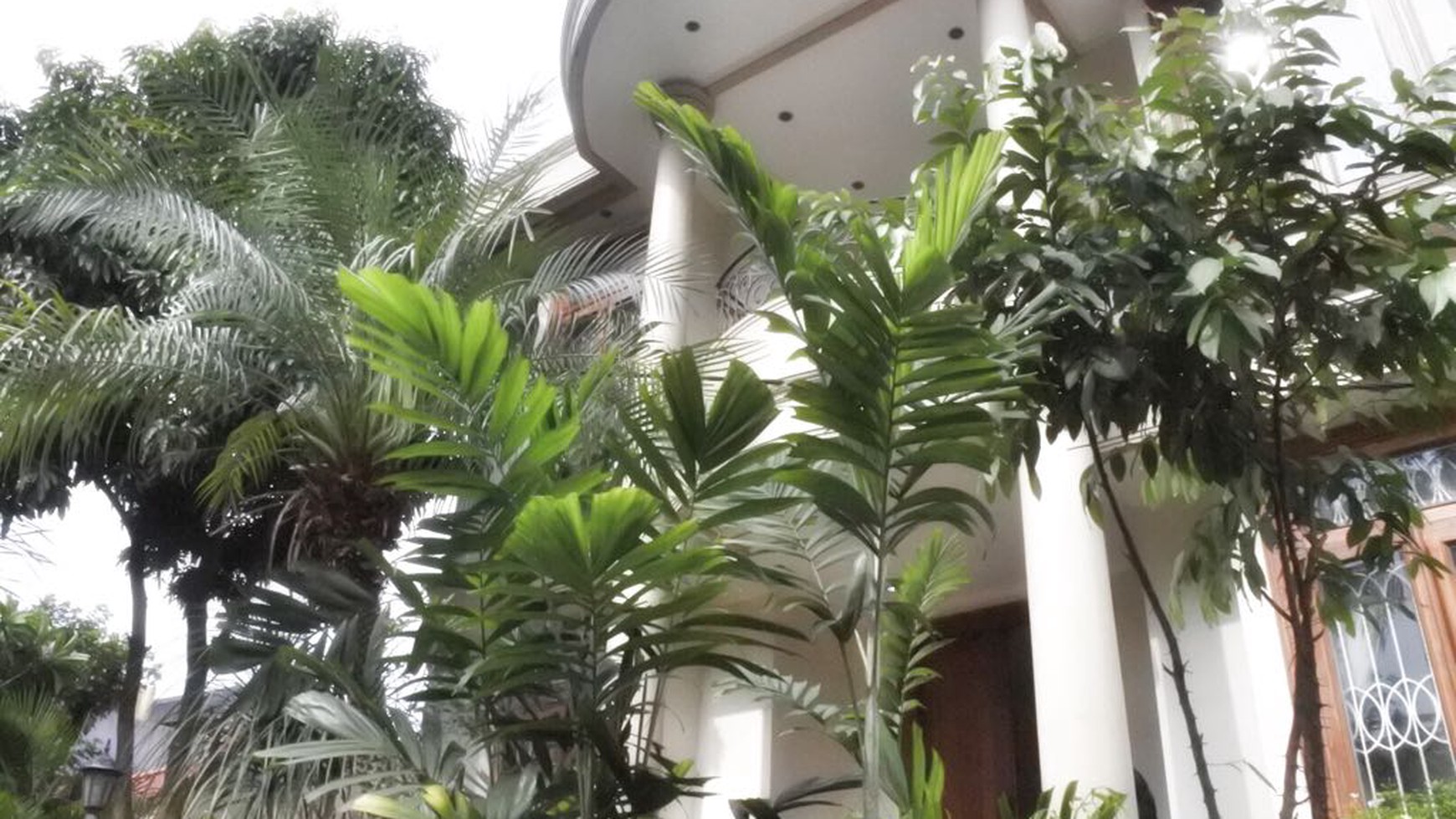 Rumah Apik Di Pondok Indah