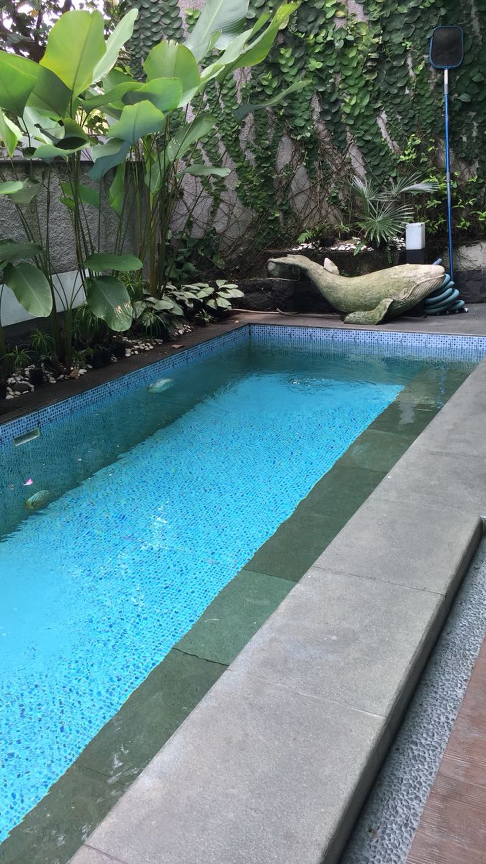 Dijual Rumah Titihan Bintaro Sangat Asri