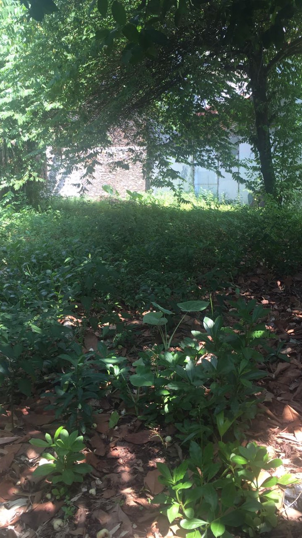 Kavling di Pasar Minggu