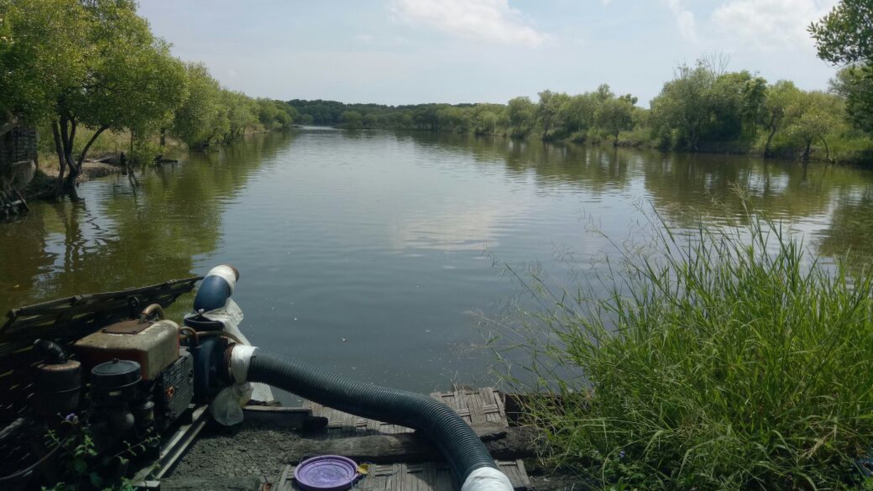 Tambak untuk investasi