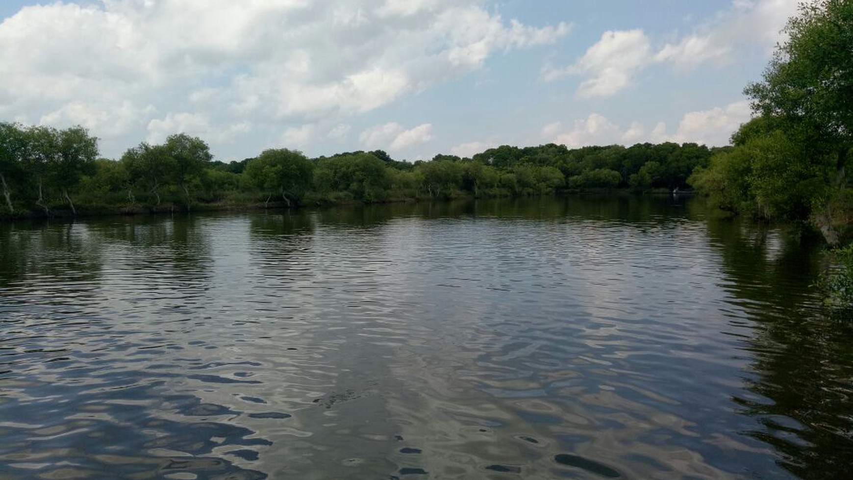 Tambak untuk investasi