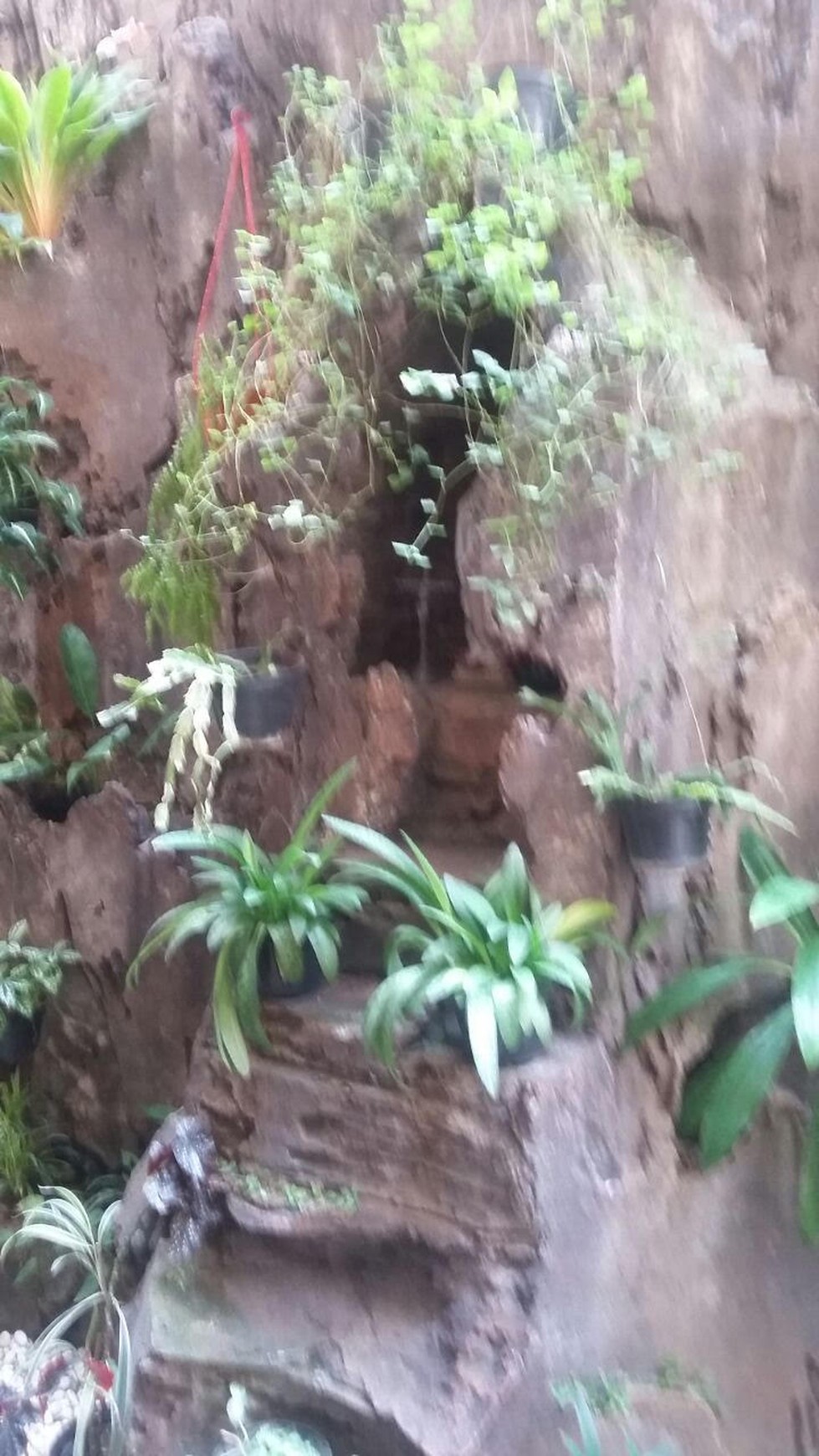 Rumah 2 lantai bagus dan asri, lokasi Ok di Green Ville Jakarta Barat