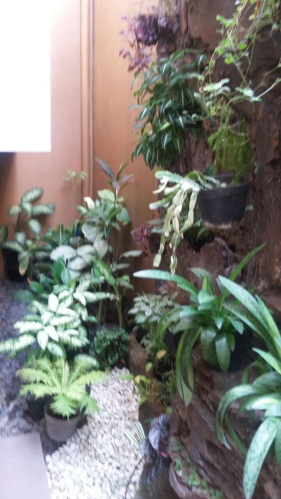 Rumah 2 lantai bagus dan asri, lokasi Ok di Green Ville Jakarta Barat