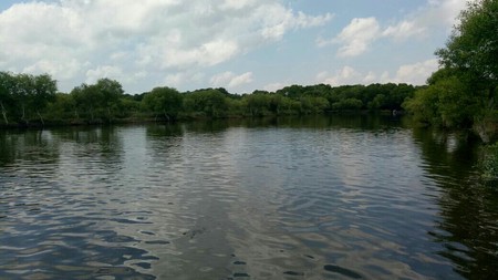 Tanah Tambak Udang Windu dan Bandeng Air Laut Asli