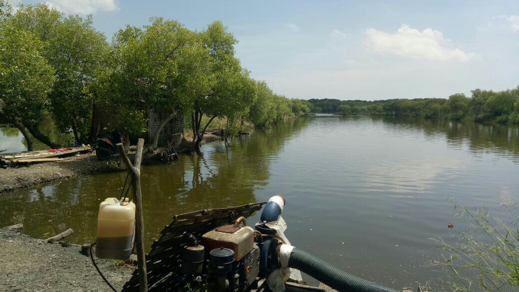 Tanah Tambak Udang Windu dan Bandeng Air Laut Asli