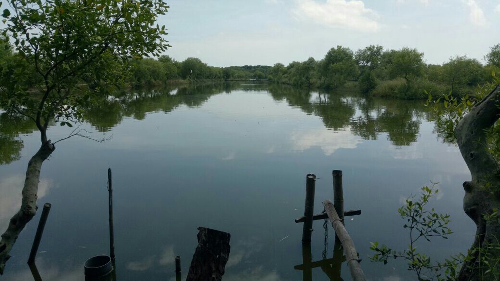 Tanah Tambak Udang Windu dan Bandeng Air Laut Asli