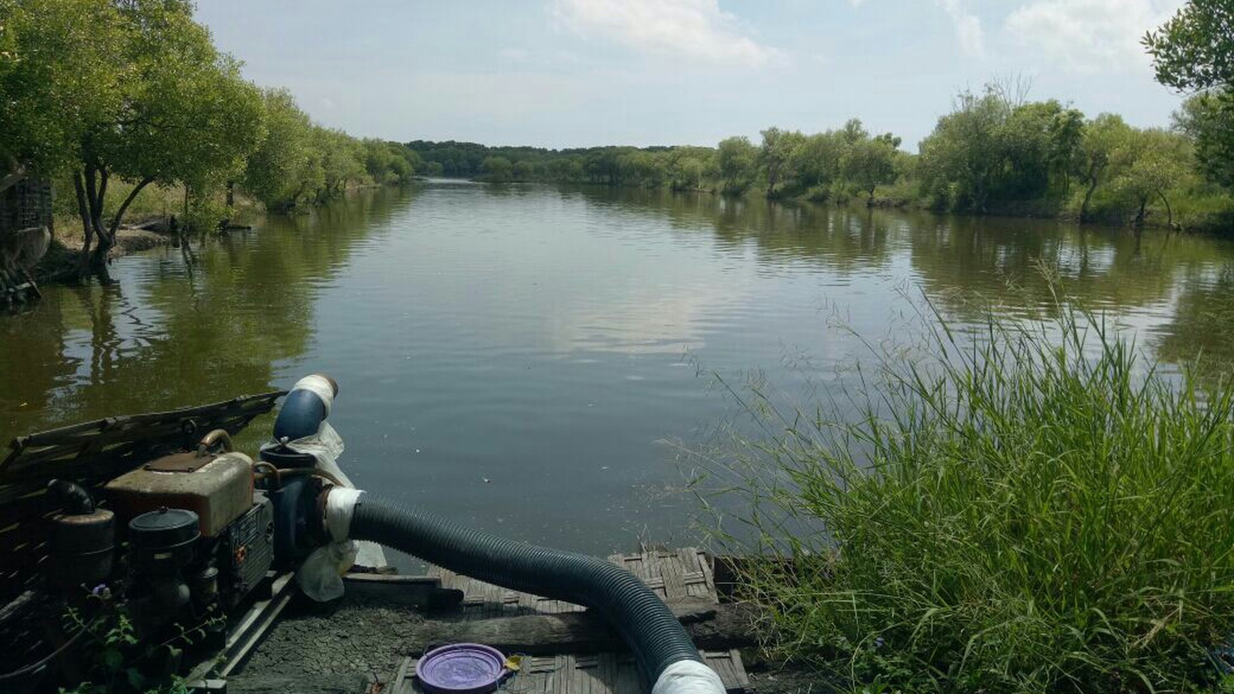 Tanah Tambak Udang Windu dan Bandeng Air Laut Asli