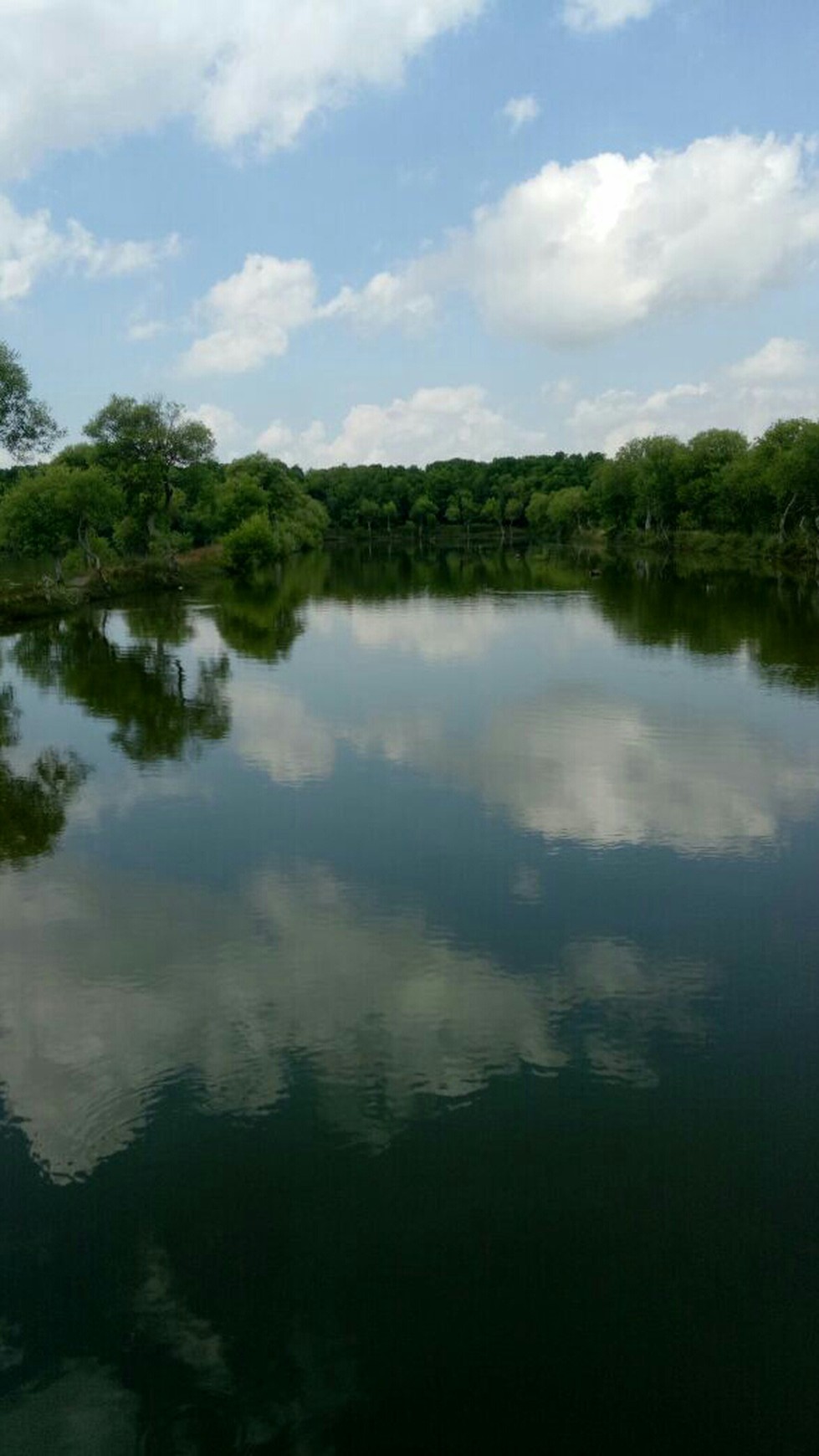 Tanah Tambak Udang Windu dan Bandeng Air Laut Asli