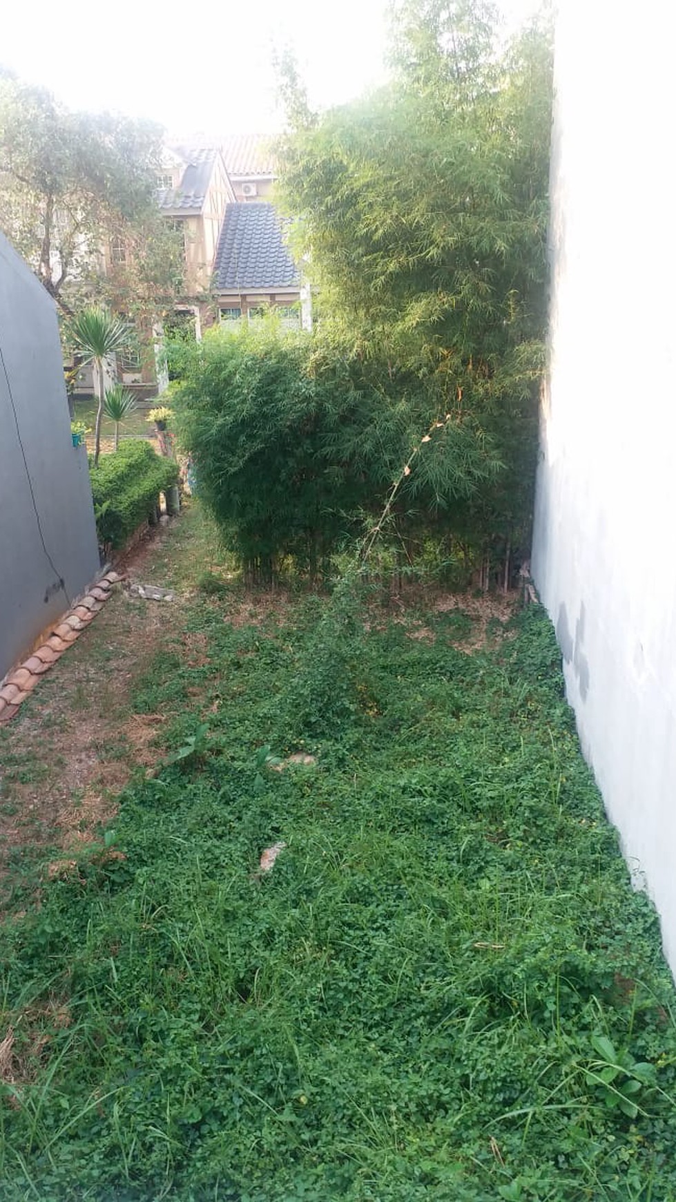 Disewakan Rumah di Taman Imam Bonjol - Lippo Karawaci