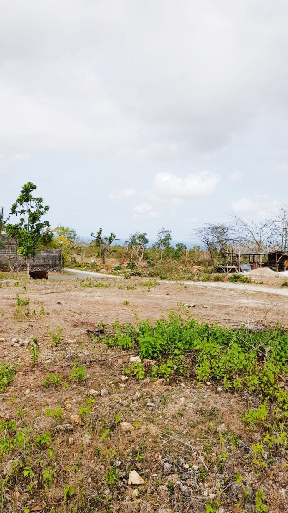 Kavling Strategis di Kawasan Badung, Bali