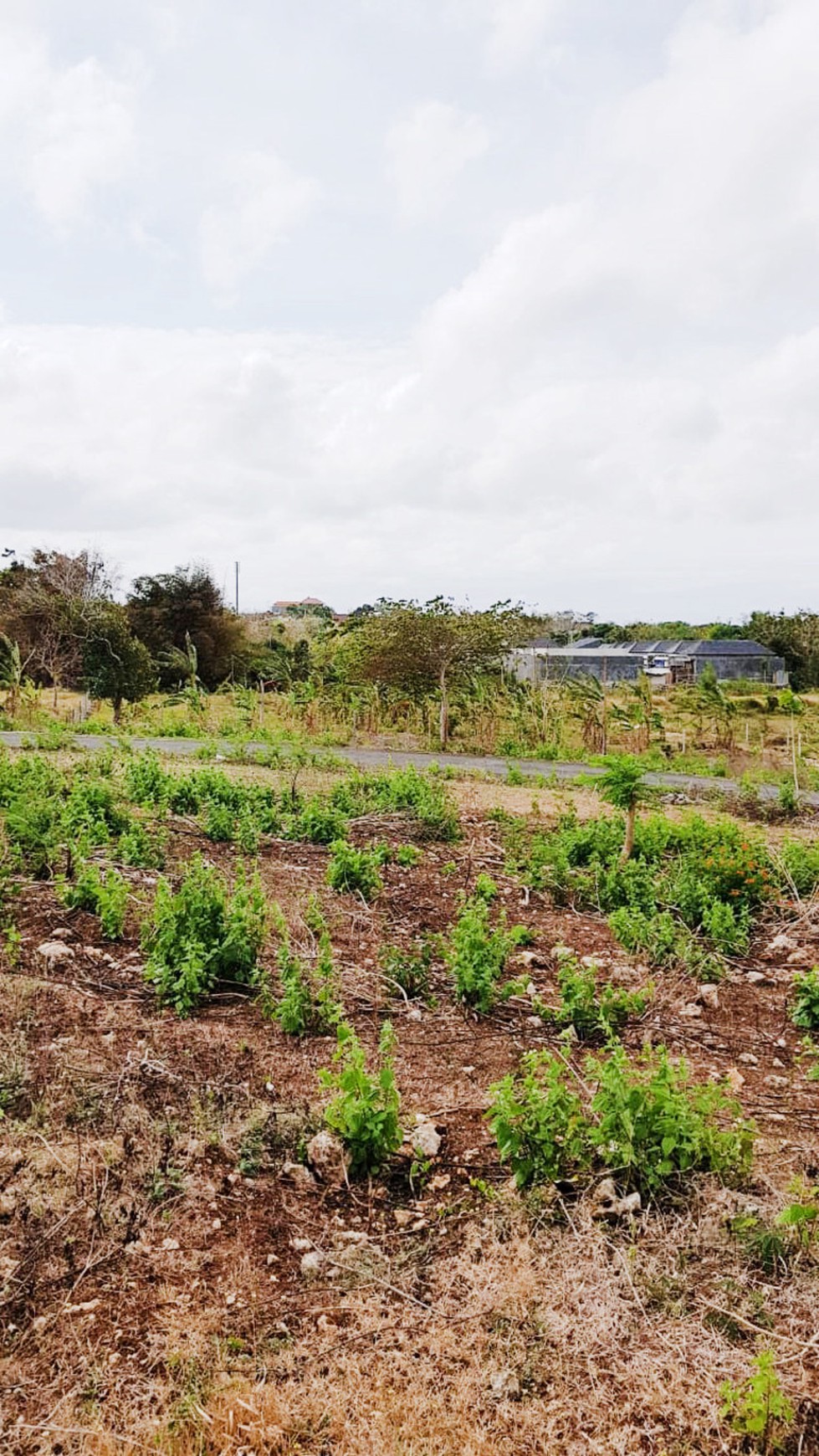 Kavling Strategis di Kawasan Badung, Bali