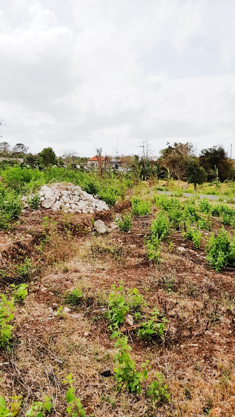 Kavling Strategis di Kawasan Badung, Bali
