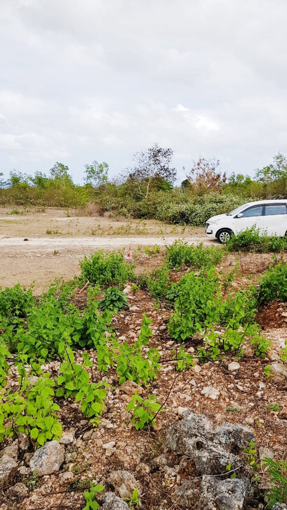 Kavling Strategis di Kawasan Badung, Bali