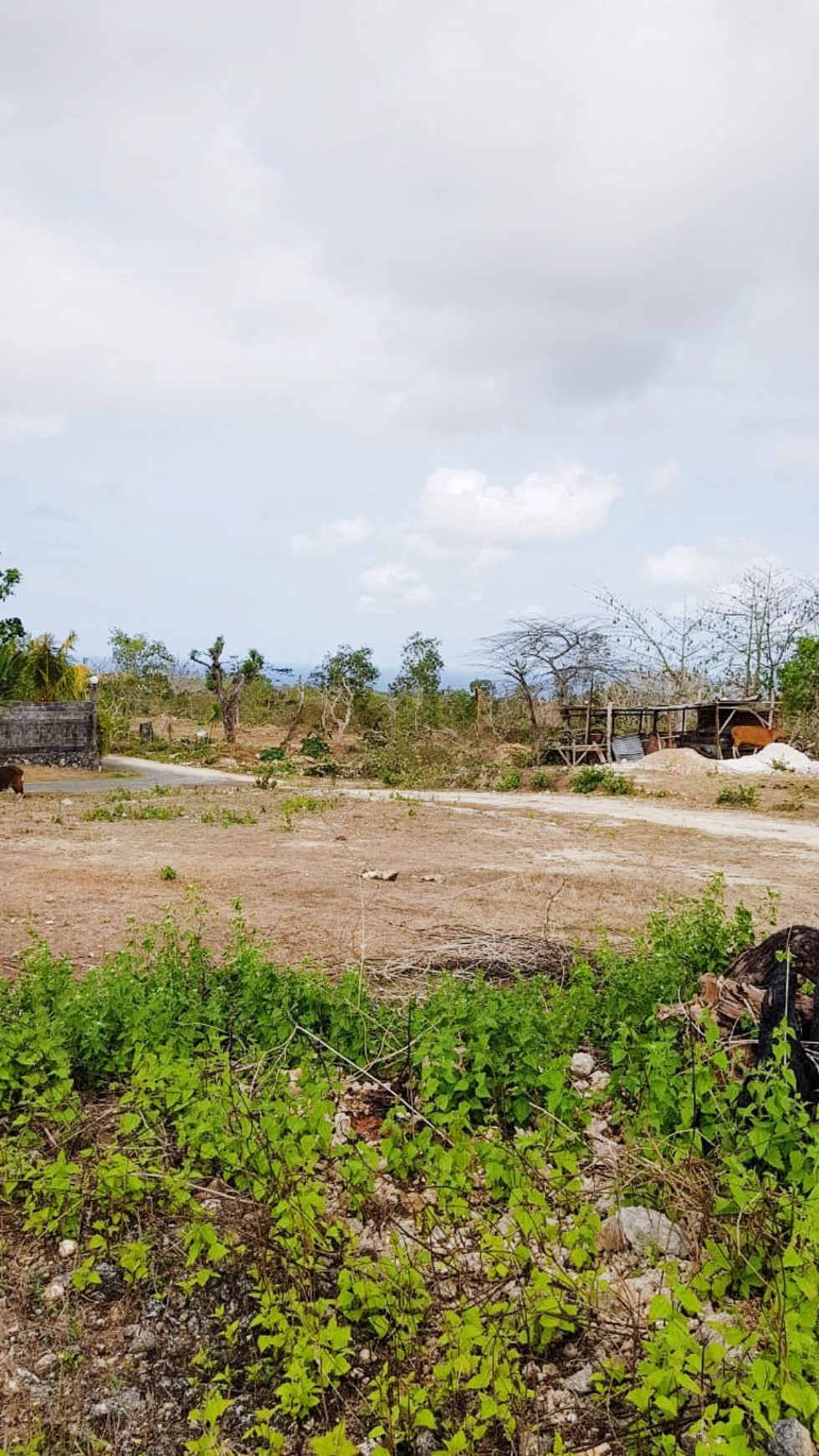 Kavling Strategis di Kawasan Badung, Bali