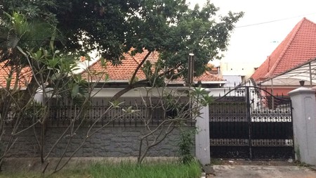 Sewa Rumah pusat kota dekat raya diponegoro