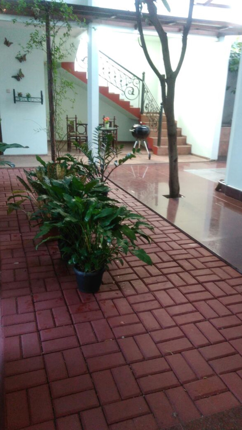 Rumah Bagus sekali,halaman belakang di Bintaro Jaya 5