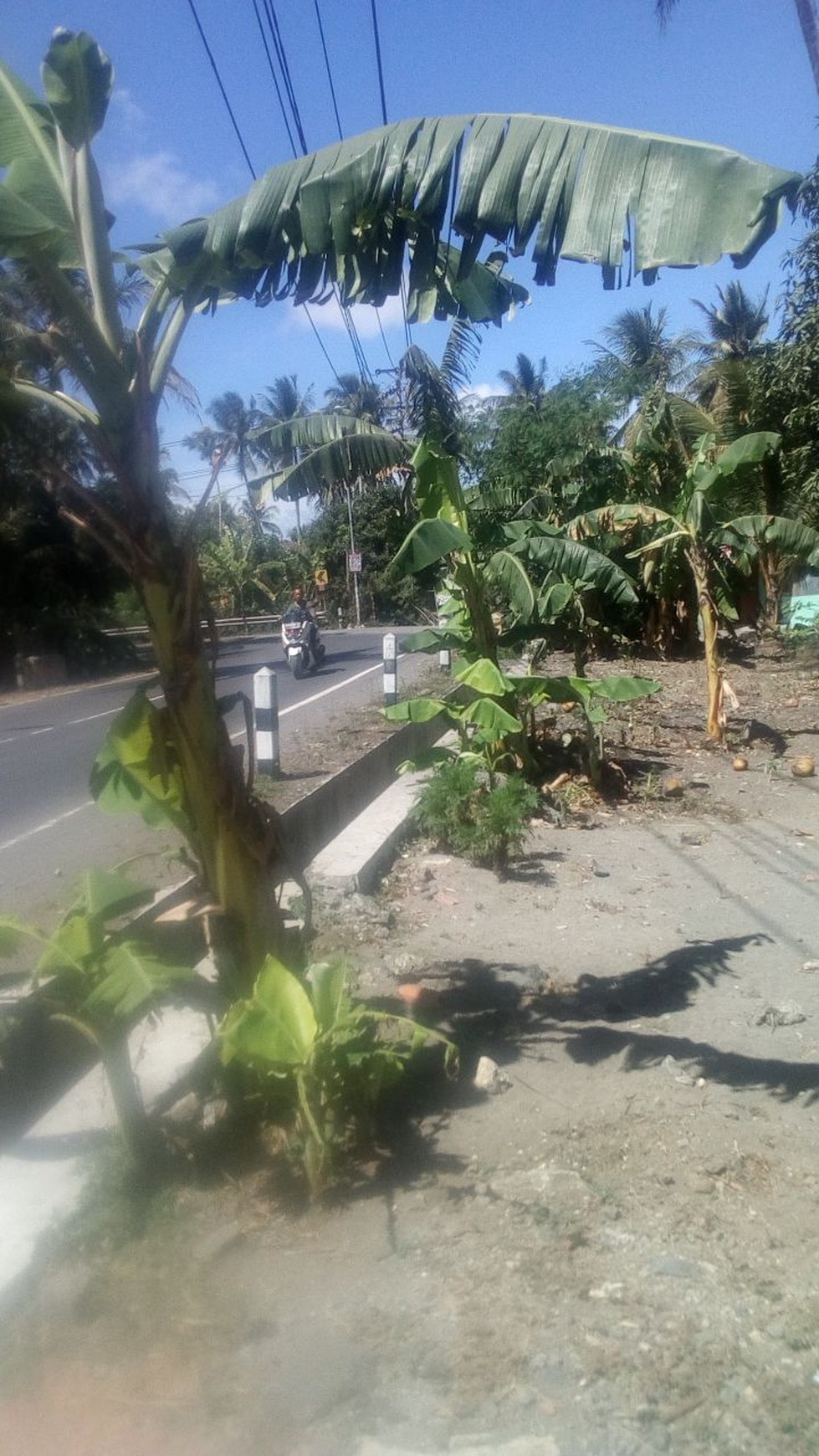 TANAH LUAS DAN SETRATEGIS DEKAT BANDARA BARU KULON PROGO