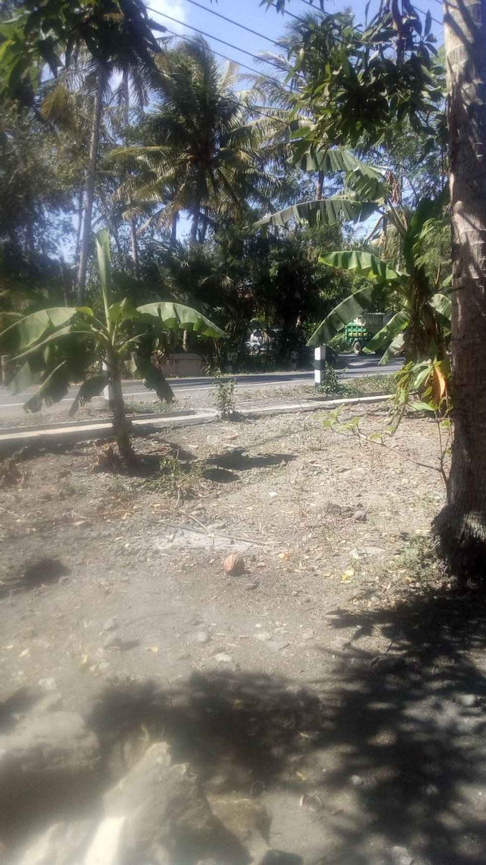 TANAH LUAS DAN SETRATEGIS DEKAT BANDARA BARU KULON PROGO